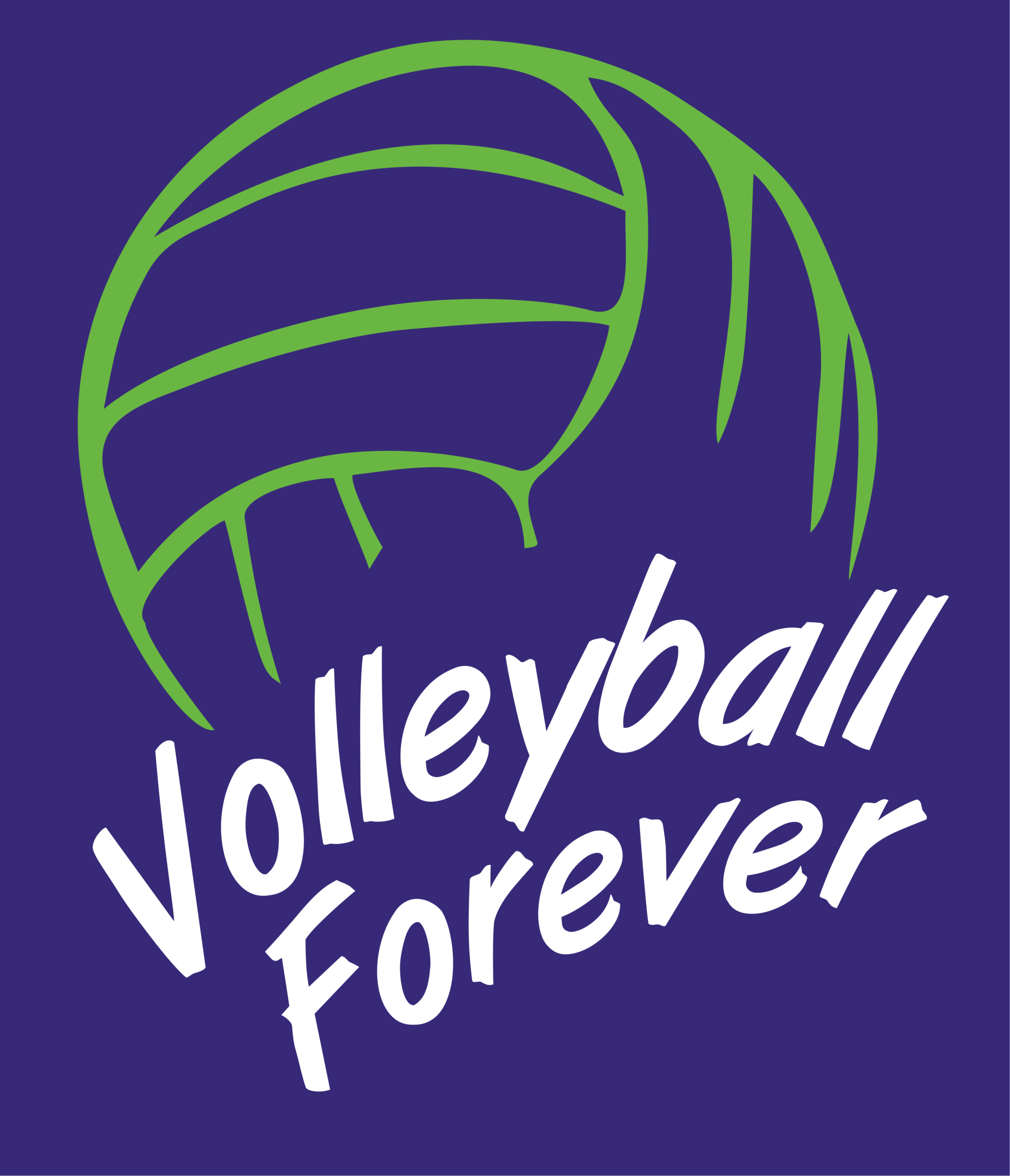 Logo VF inchis