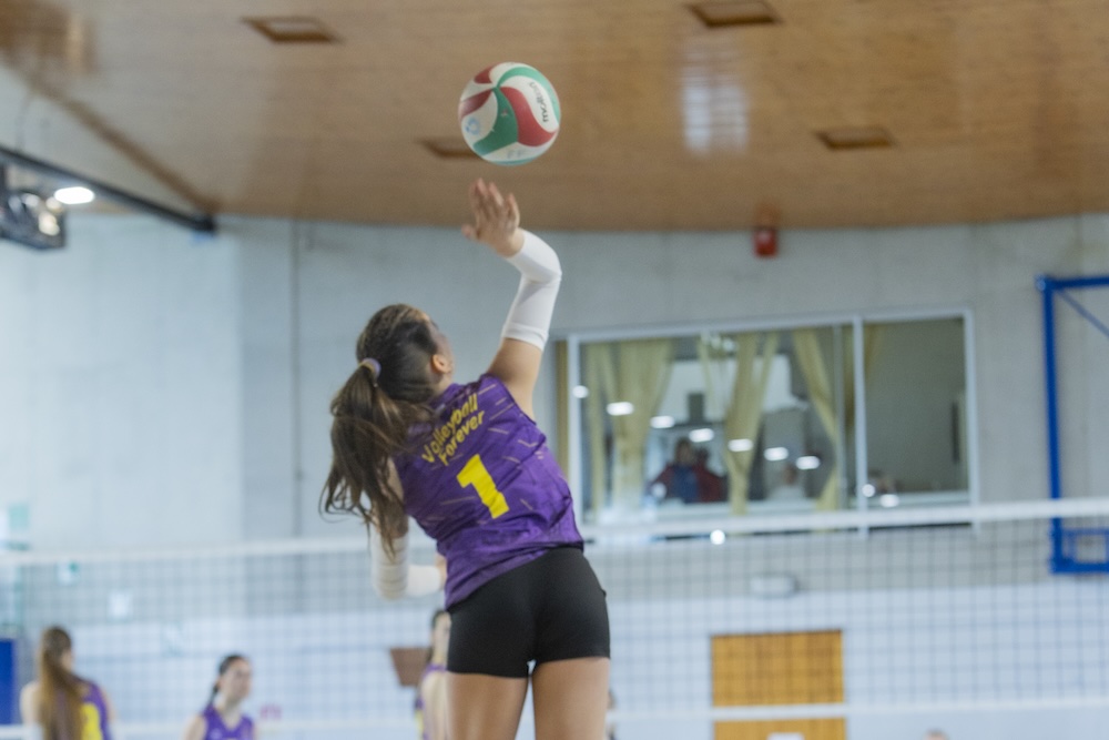 Noa 11
